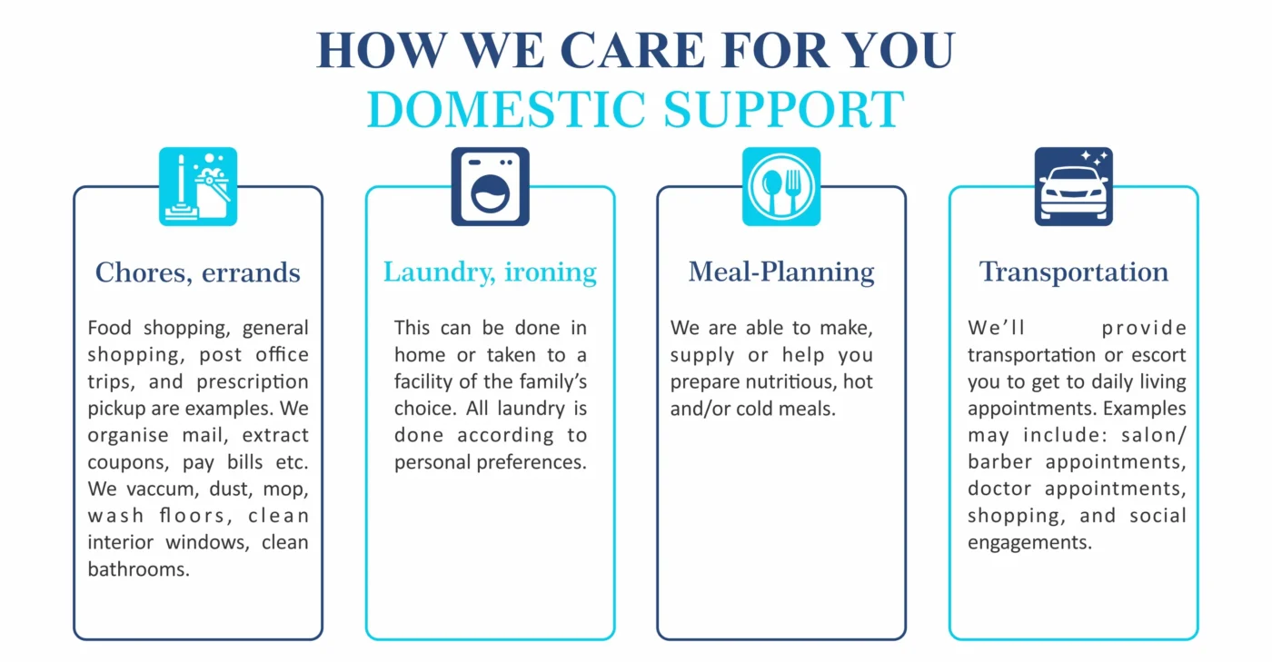 domestic-care-services-by-sarascare-com