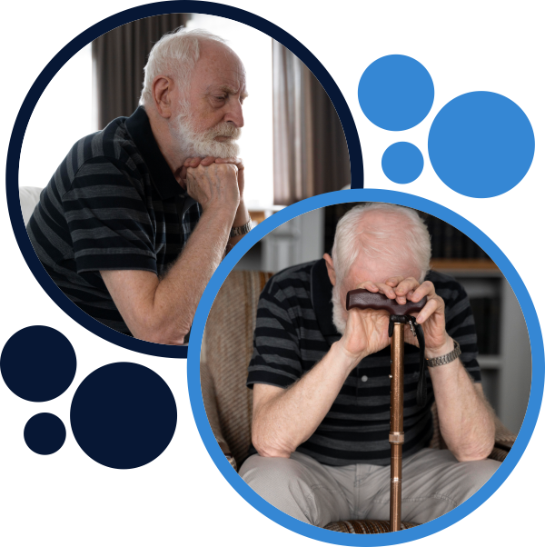 Companionship Care